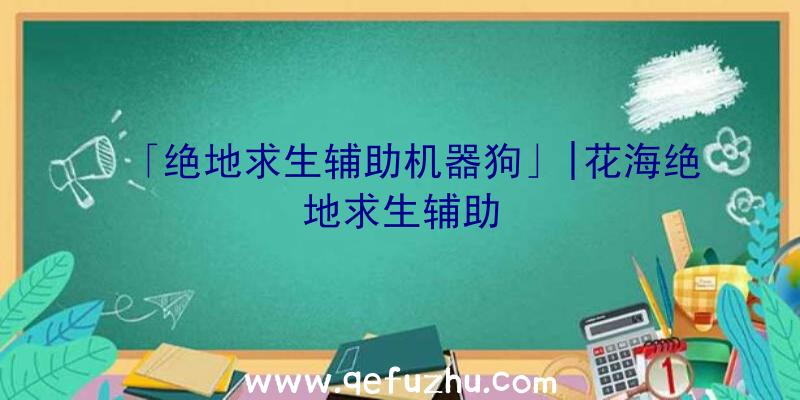 「绝地求生辅助机器狗」|花海绝地求生辅助